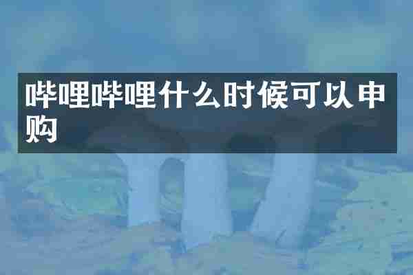 哔哩哔哩什么时候可以申购