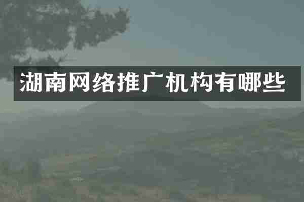 湖南网络推广机构有哪些
