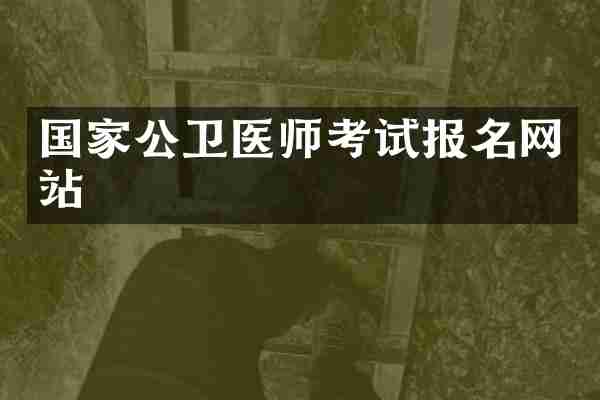 国家公卫医师考试报名网站