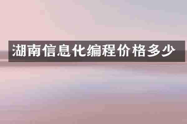 湖南信息化编程价格多少