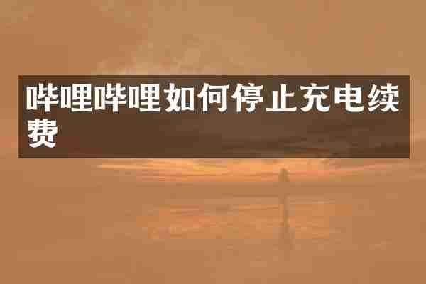 哔哩哔哩如何停止充电续费