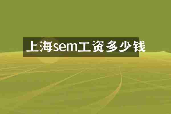 上海sem工资多少钱