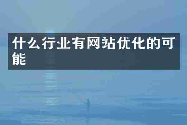 什么行业有网站优化的可能
