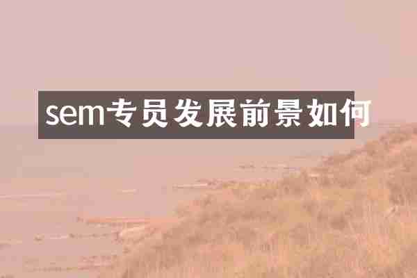 sem专员发展前景如何