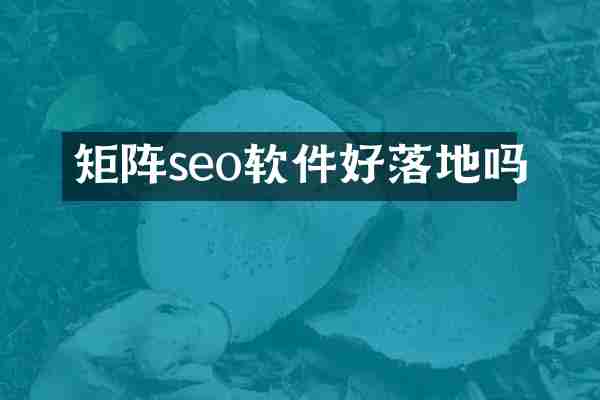 矩阵seo软件好落地吗