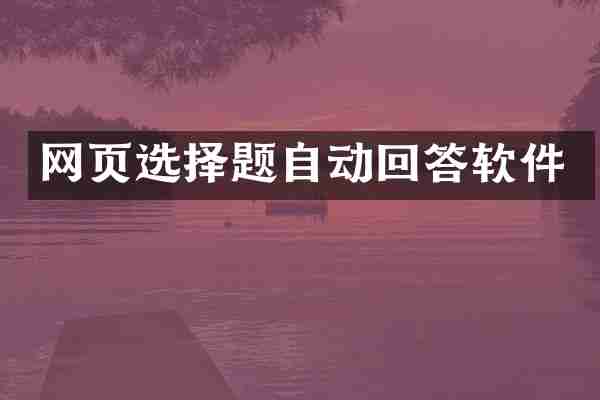 网页选择题自动回答软件