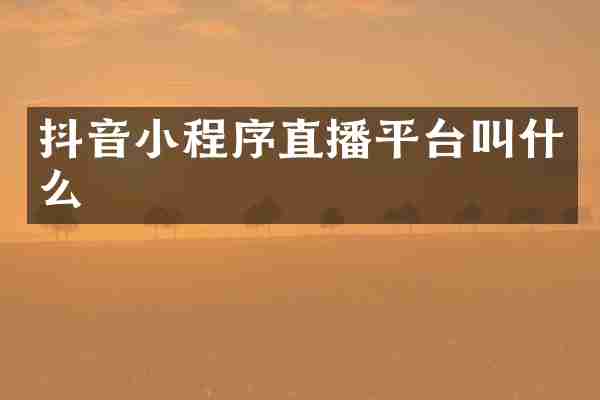 抖音小程序直播平台叫什么