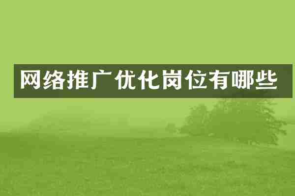 网络推广优化岗位有哪些