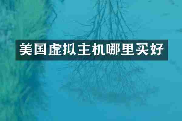 美国虚拟主机哪里买好