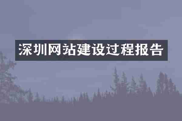 深圳网站建设过程报告
