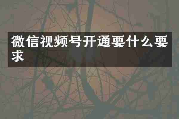 微信视频号开通要什么要求