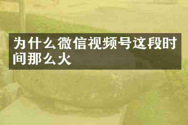 为什么微信视频号这段时间那么火