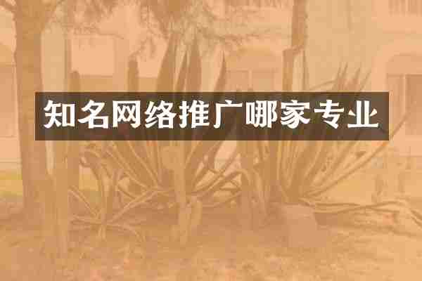 知名网络推广哪家专业