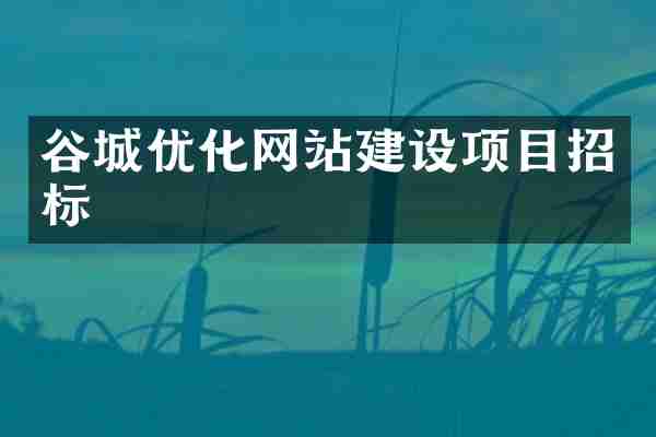 谷城优化网站建设项目招标