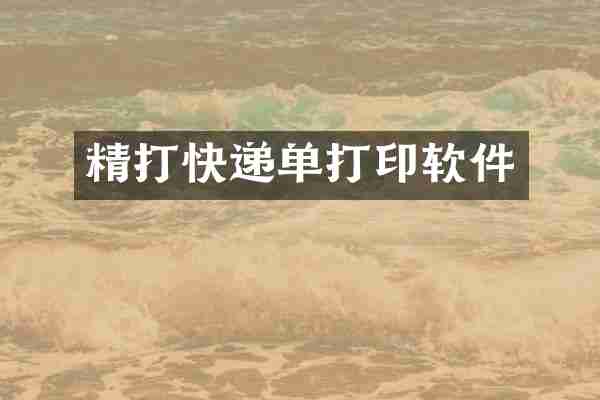 精打快递单打印软件