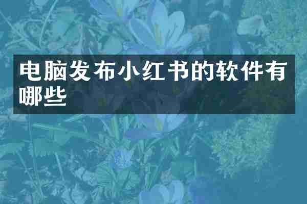 电脑发布小红书的软件有哪些