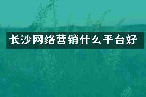 长沙网络营销什么平台好