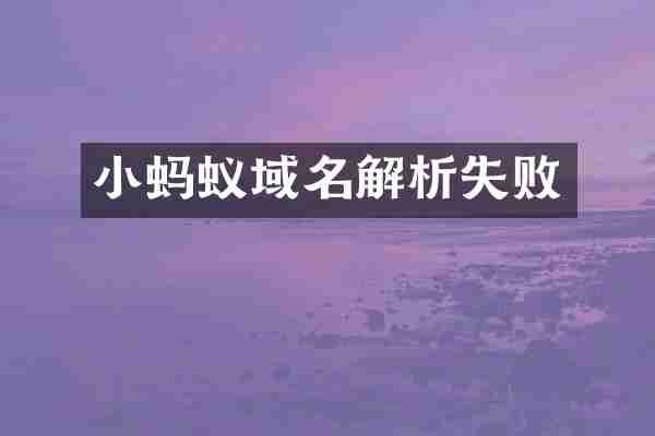 小蚂蚁域名解析失败