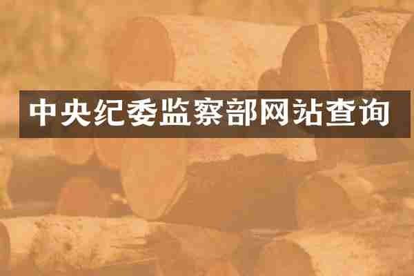中央纪委监察部网站查询