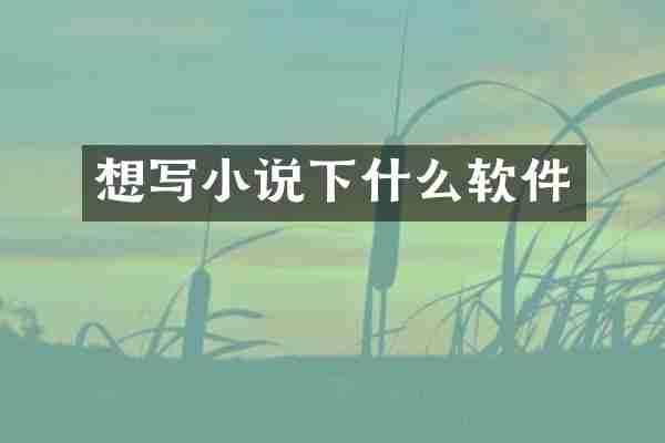 想写小说下什么软件