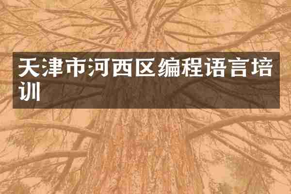 天津市河西区编程语言培训