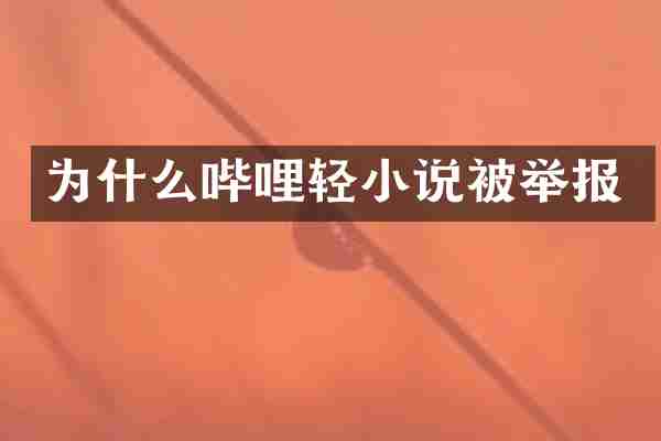 为什么哔哩轻小说被举报