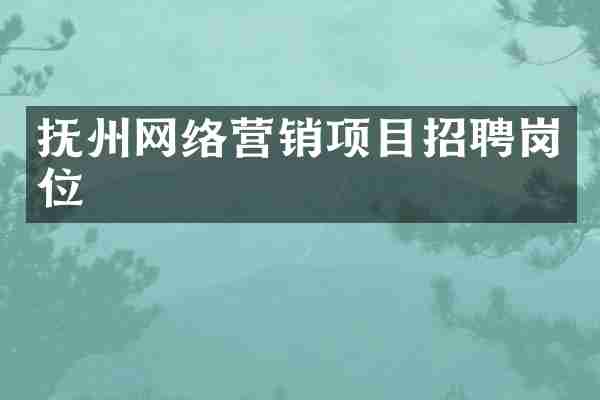 抚州网络营销项目招聘岗位