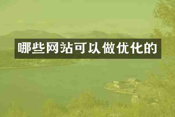 哪些网站可以做优化的