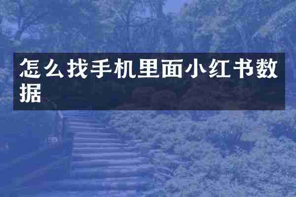 怎么找手机里面小红书数据