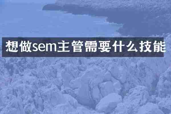 想做sem主管需要什么技能