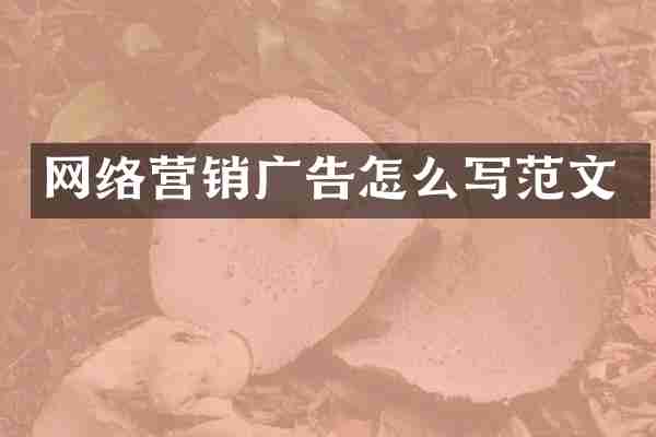 网络营销广告怎么写范文