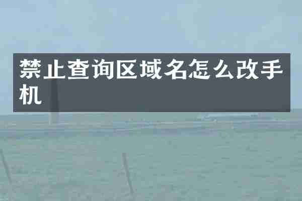 禁止查询区域名怎么改手机