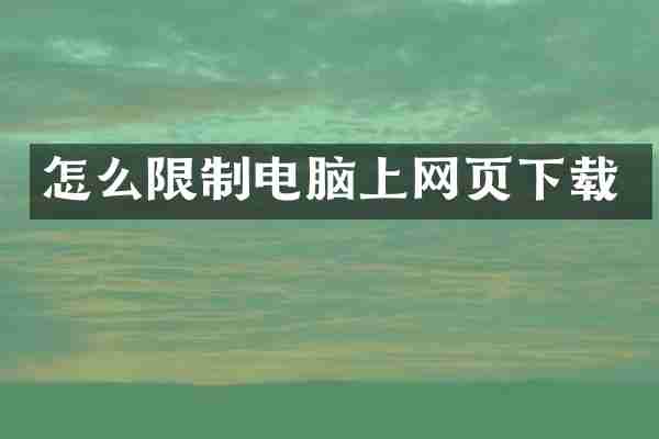 怎么限制电脑上网页下载