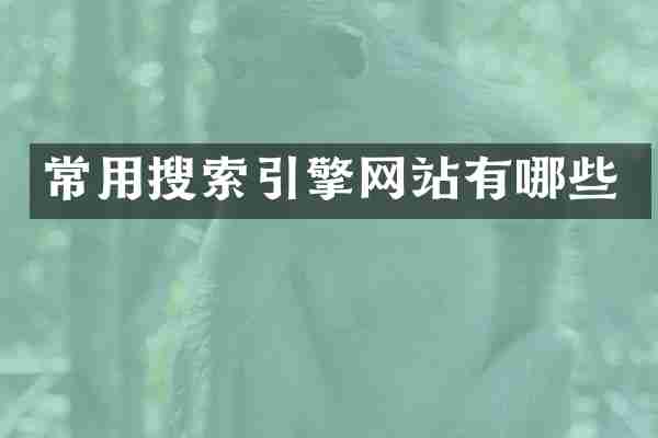 常用搜索引擎网站有哪些