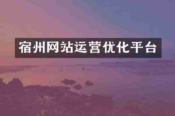 宿州网站运营优化平台