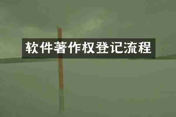 软件著作权登记流程