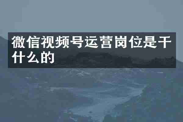 微信视频号运营岗位是干什么的