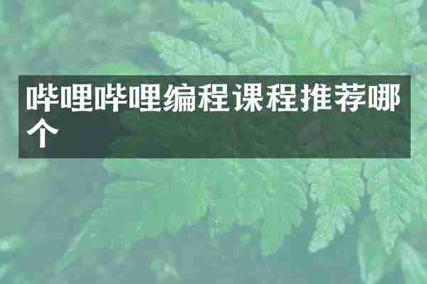 哔哩哔哩编程课程推荐哪个