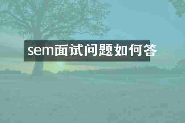 sem面试问题如何答