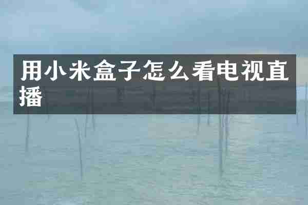 用小米盒子怎么看电视直播