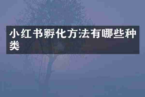 小红书孵化方法有哪些种类
