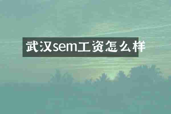 武汉sem工资怎么样