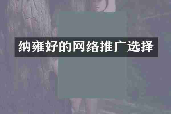 纳雍好的网络推广选择