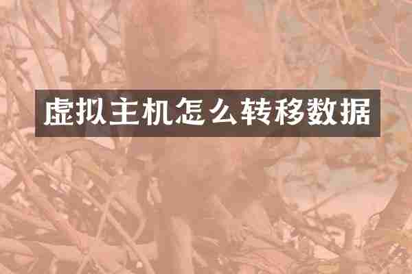 虚拟主机怎么转移数据