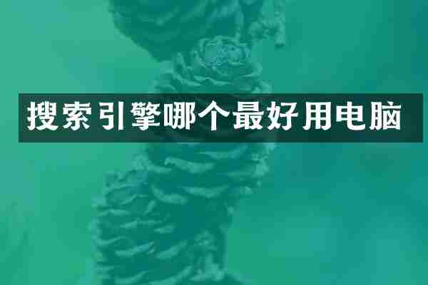搜索引擎哪个最好用电脑