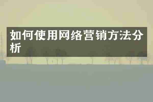 如何使用网络营销方法分析