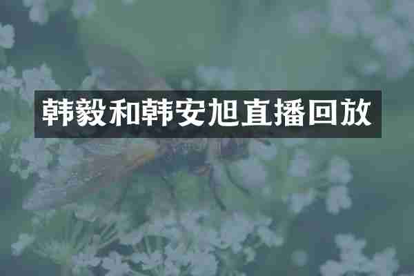 韩毅和韩安旭直播回放