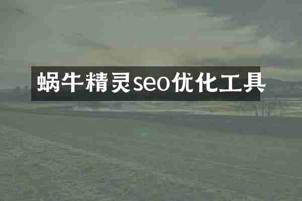 蜗牛精灵seo优化工具