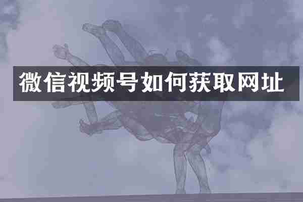 微信视频号如何获取网址
