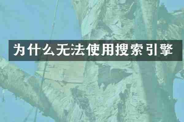 为什么无法使用搜索引擎